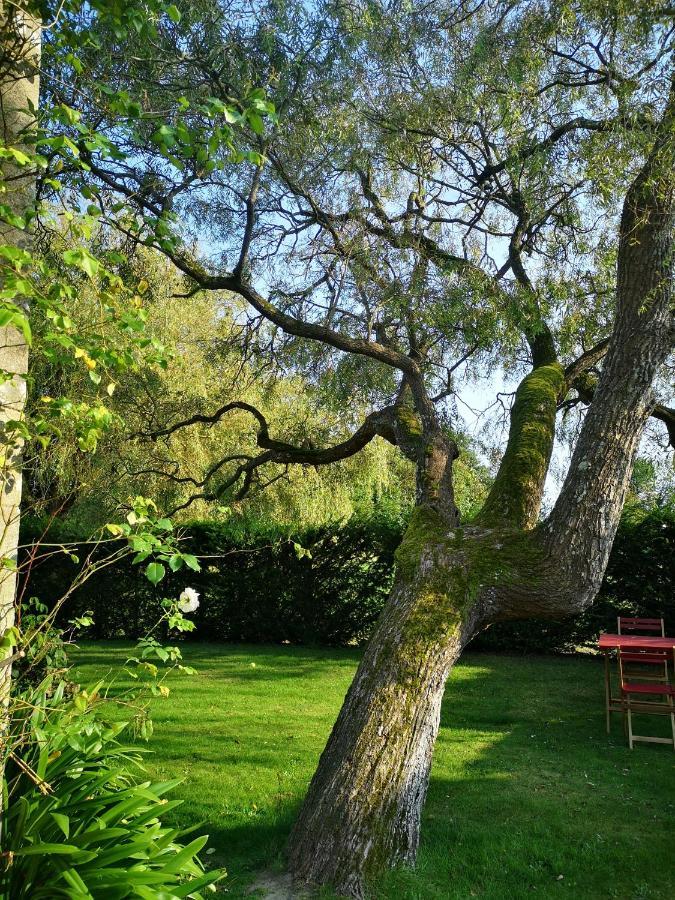 Le Domaine De Coat Rogan, La Chambre Du Jaudy Pommerit-Jaudy Exterior photo